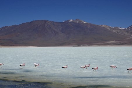 Южная Америка станет ключевым поставщиком минералов для энергоперехода